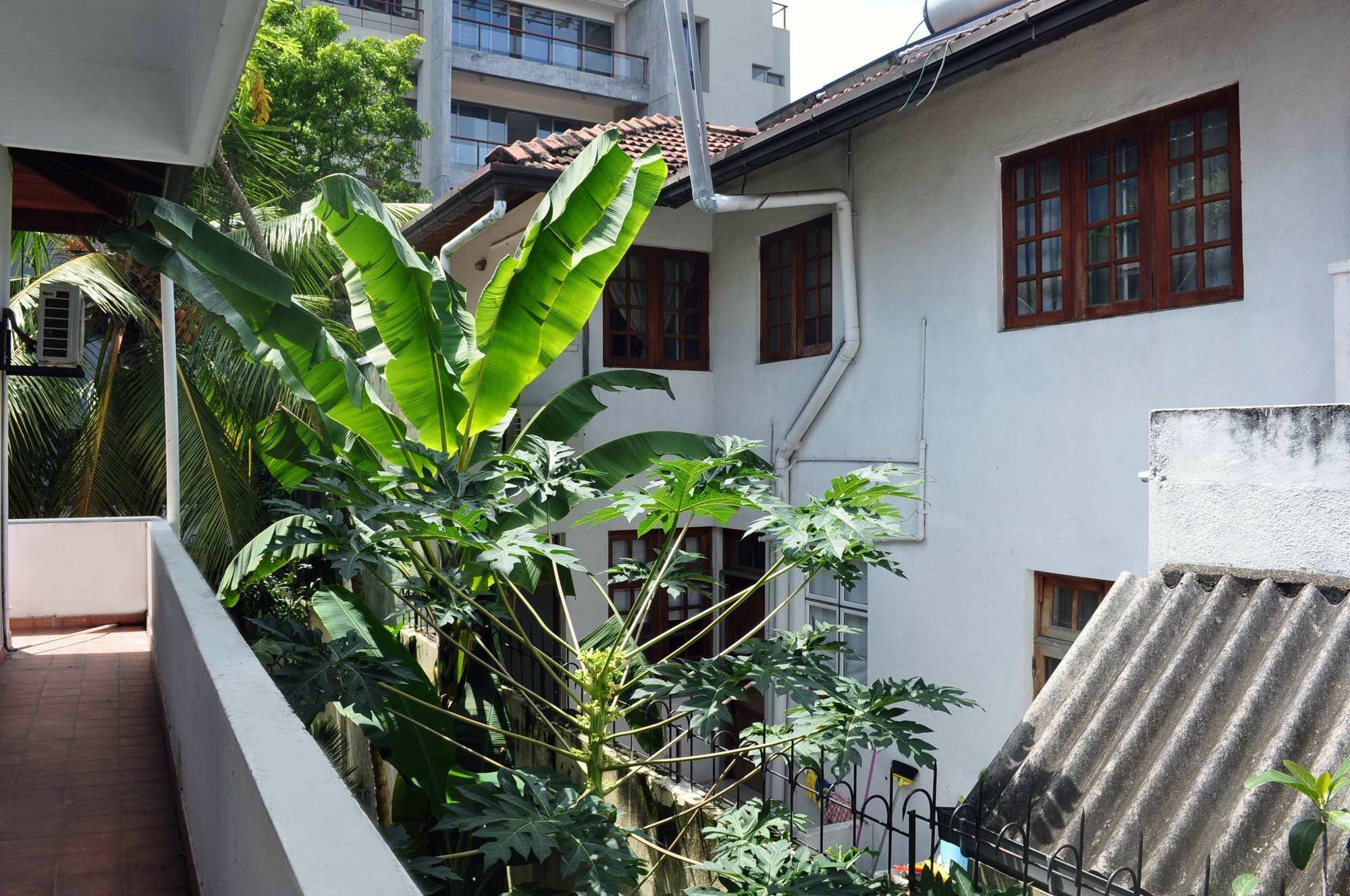 Guest house Olu 3*